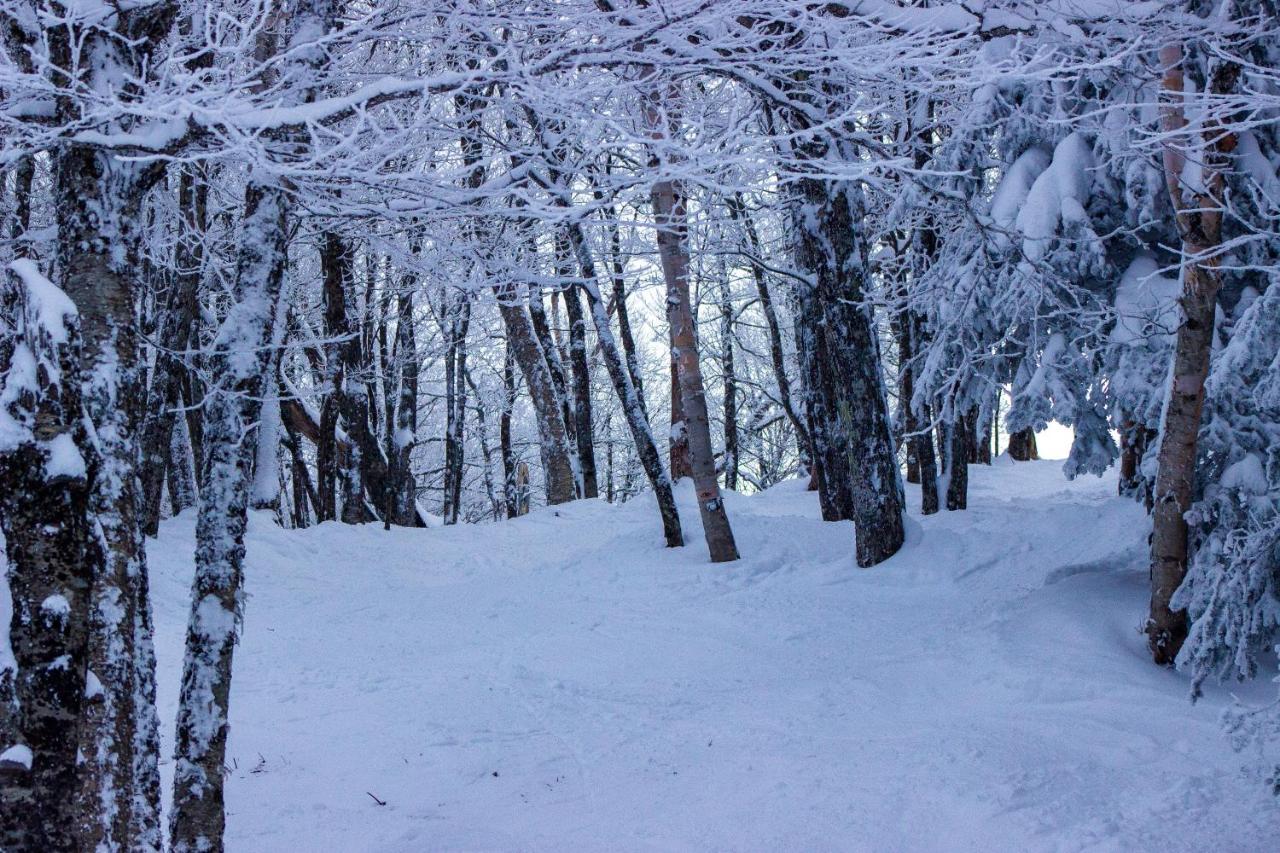 Smugglers' Notch Resort Private Suites Cambridge Exterior foto